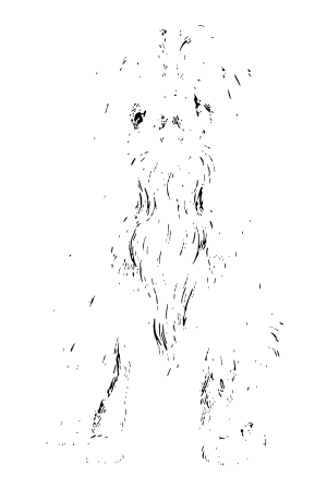 Rubies n Ruff size comparisons - extra large