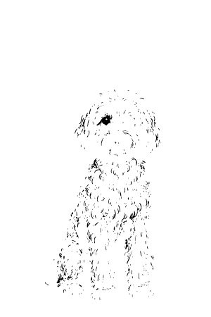 Rubies n Ruff size comparisons - medium